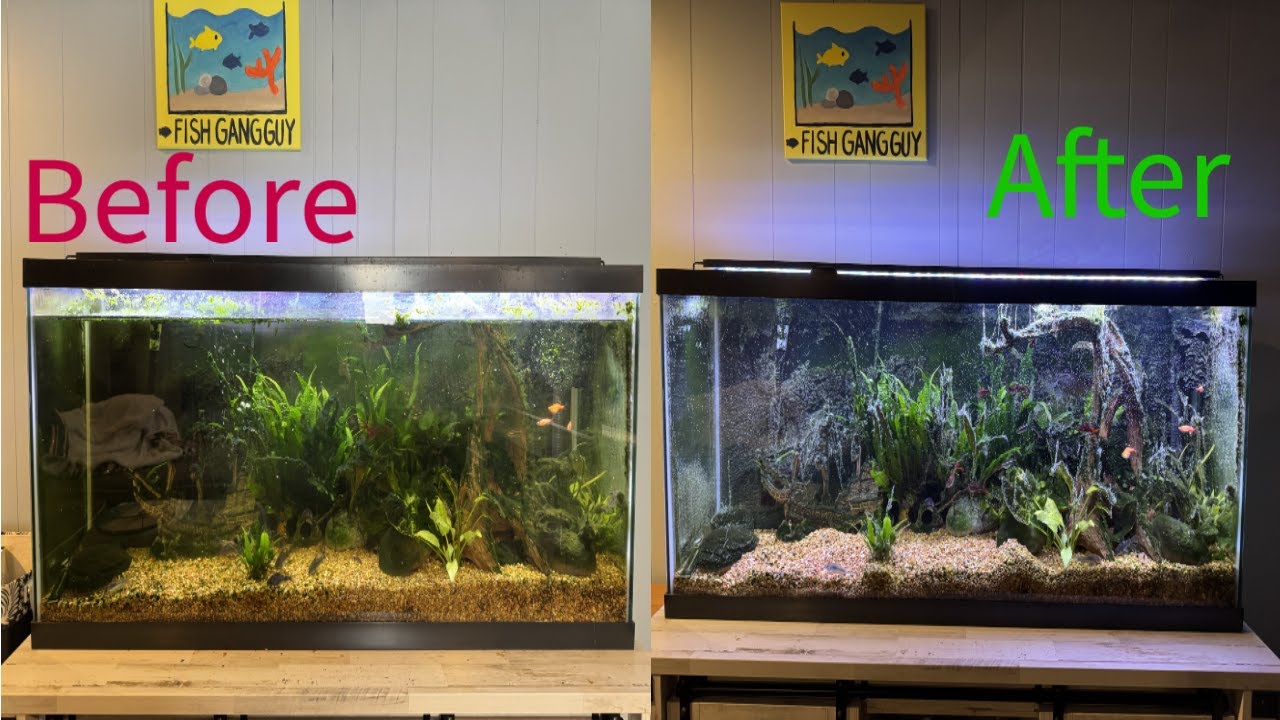 Cleaning up the tank