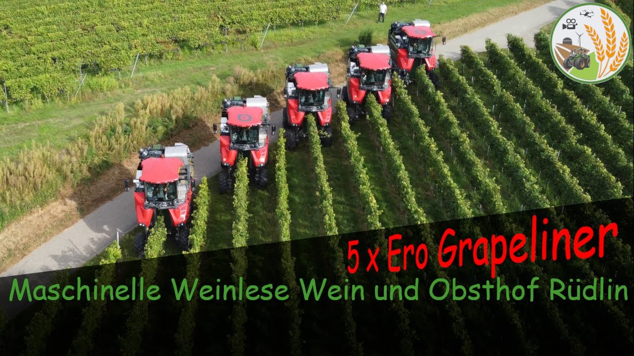 Maschinelle Weinlese 2021 (4k) Wein und Obsthof R&uuml;dlin