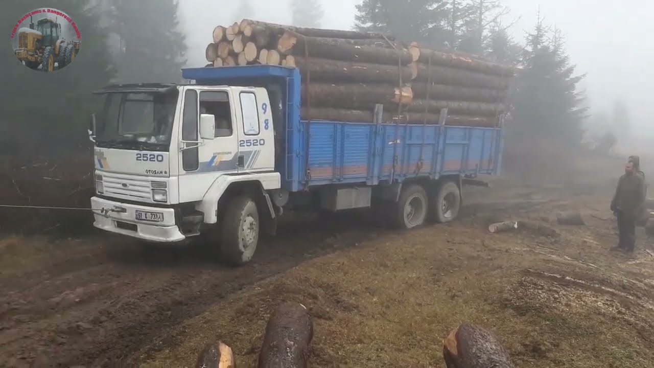 Logging Trucks vs  Extreme Terrain Will They Survive!