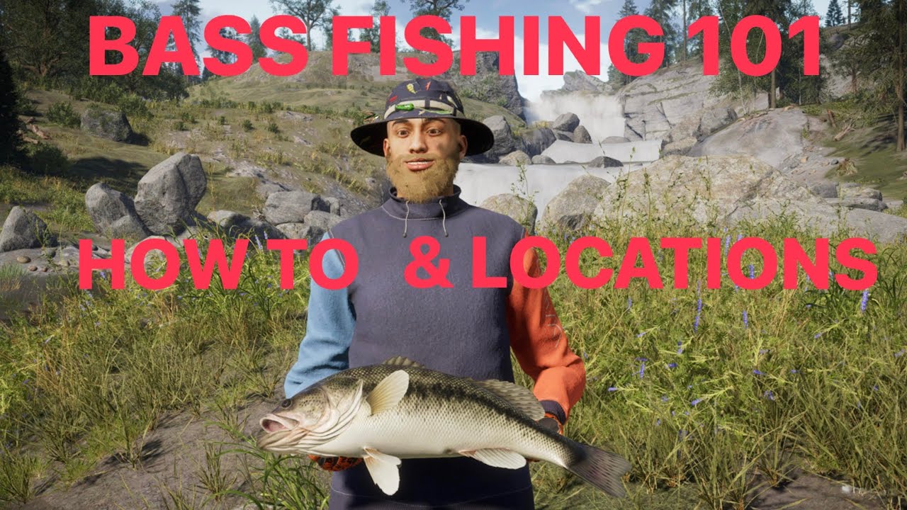 The Angler ULTIMATE BASS FISHING GUIDE & HOW TO