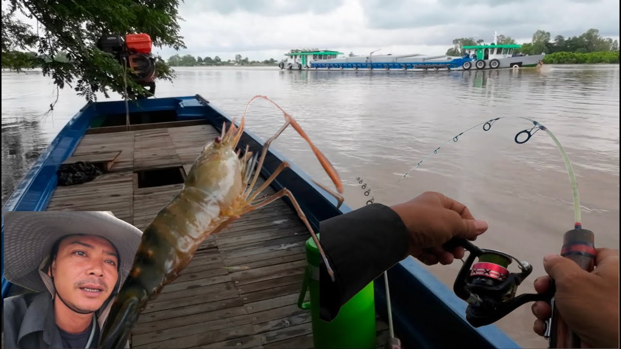 Câu Tôm đầu mùa trên sông vùng Biên Giới Campuchia @MinhTâm67vlocg