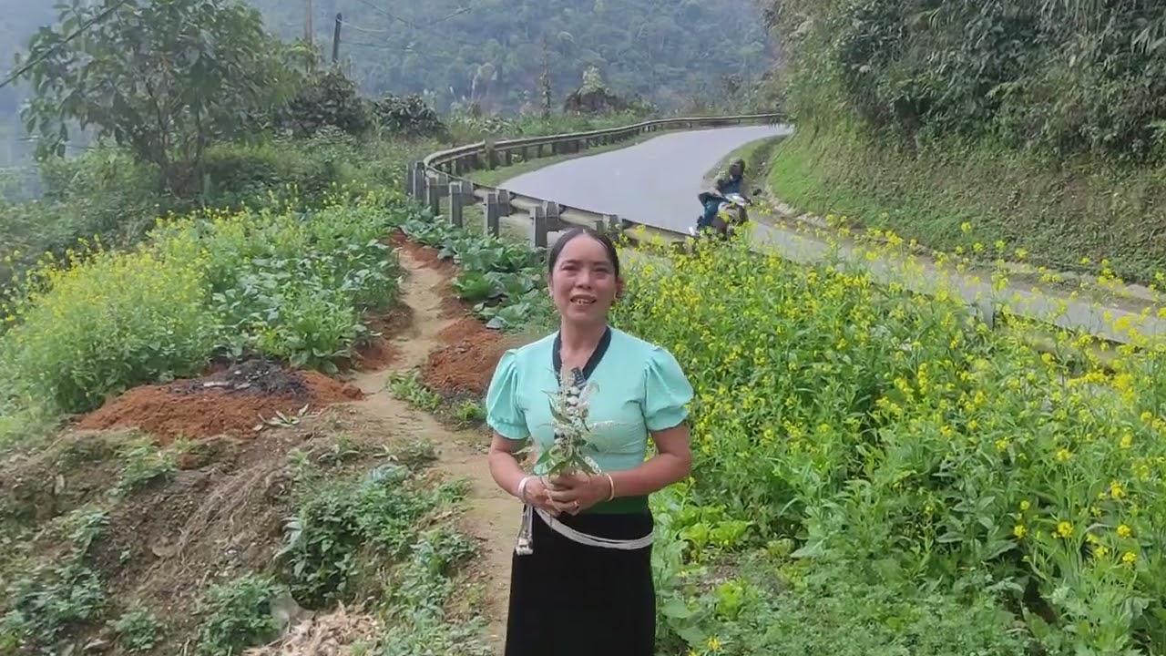Hát Thái Lò Thị Phương