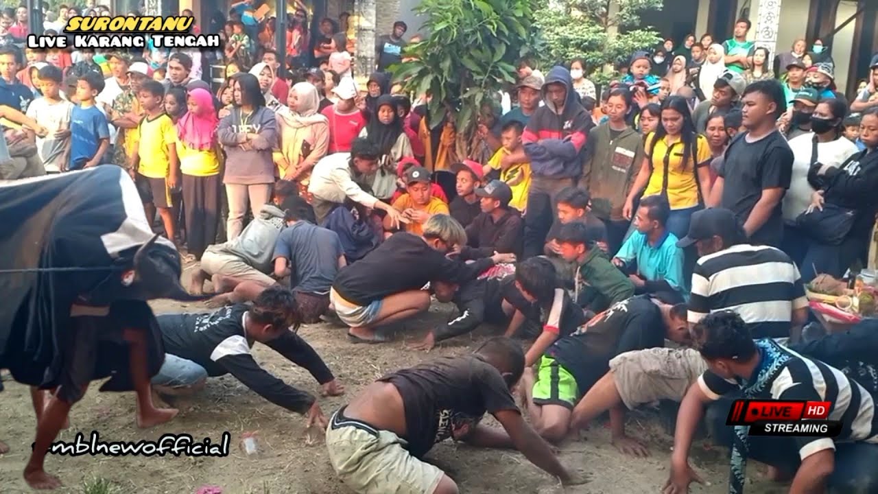 Bantengan Surontanu Ndadi Massal Terbaru Live Karang Tengah