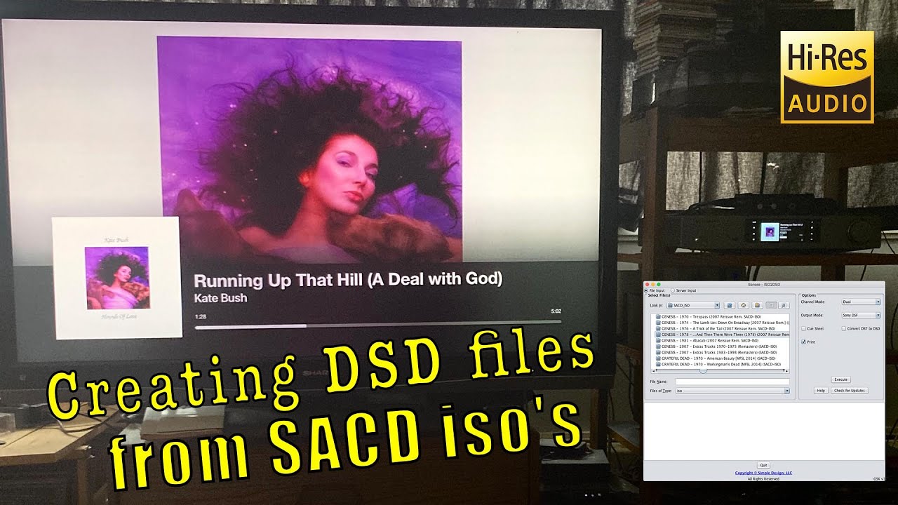 Creating DSD files from SACD