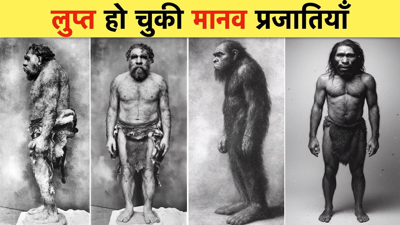 मानव प्राजति में सिर्फ इंसान ही ज़िंदा क्यों बचे ? Why Did Only Homo Sapiens Survive?