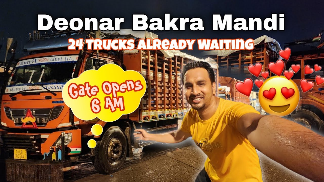 Deonar Bakra Mandi 2025 | Opening Day Scene | 24 Trucks Outside Gate at 6 AM!