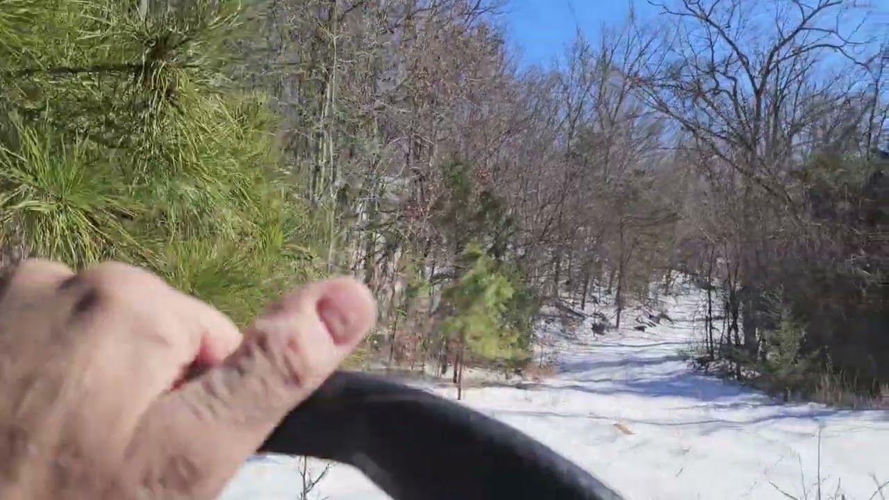 Rhino on snow