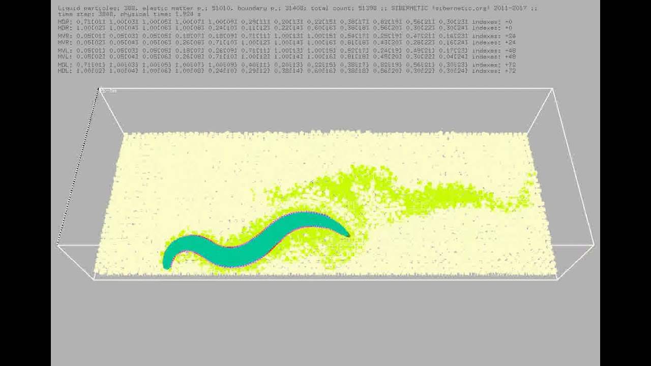 Openworm Local simulation