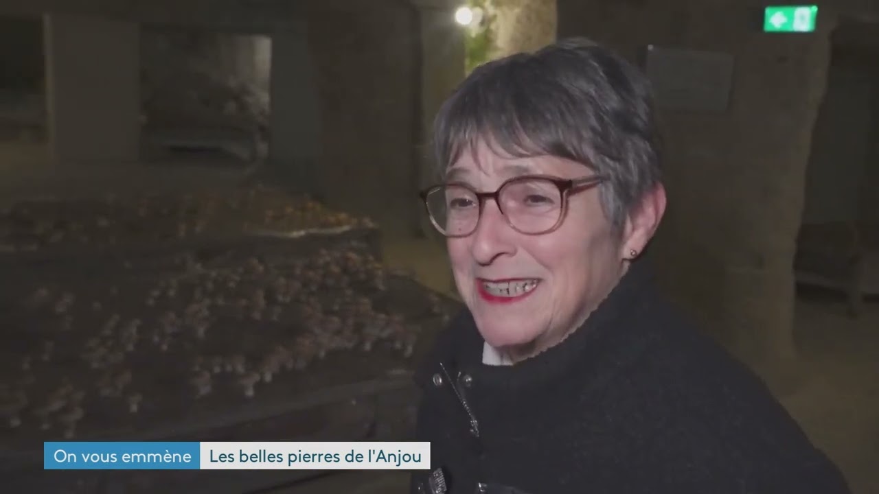 1213OVEI 108 ABBAYE FONTEVRAUD