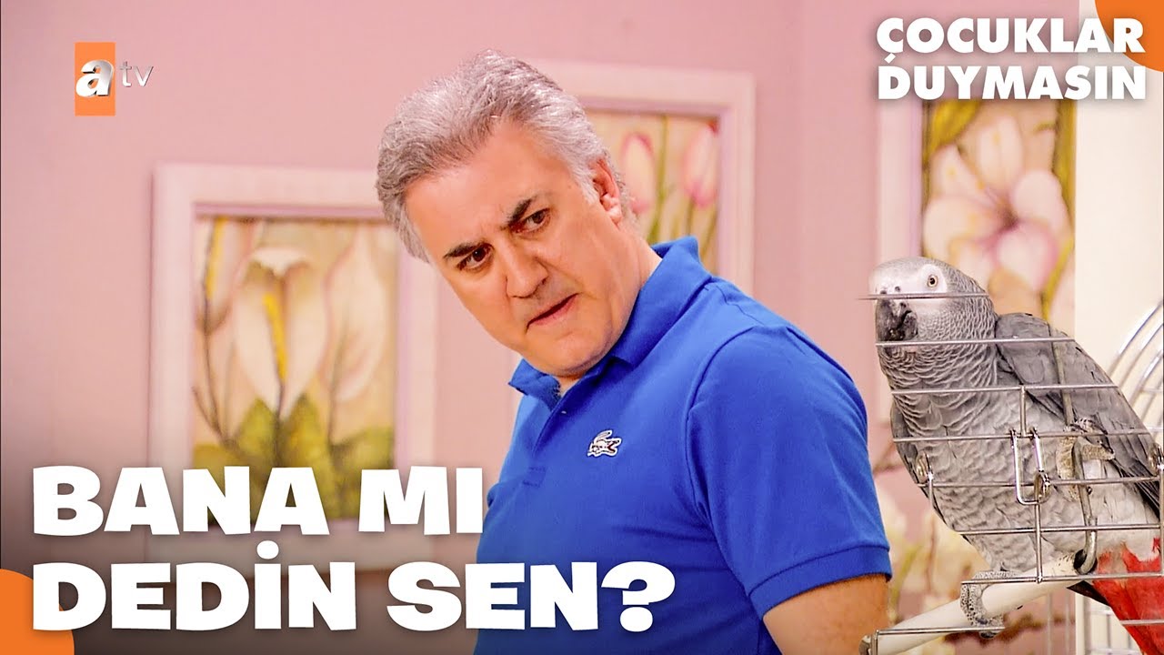 Şaşkın Haluk! Evdeki Papağanla Karşılaşınca… 😅 | Çocuklar Duymasın 98. Bölüm