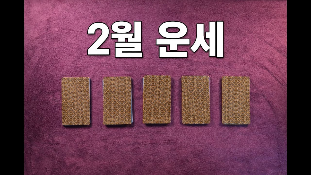 [타로] 2월 운세