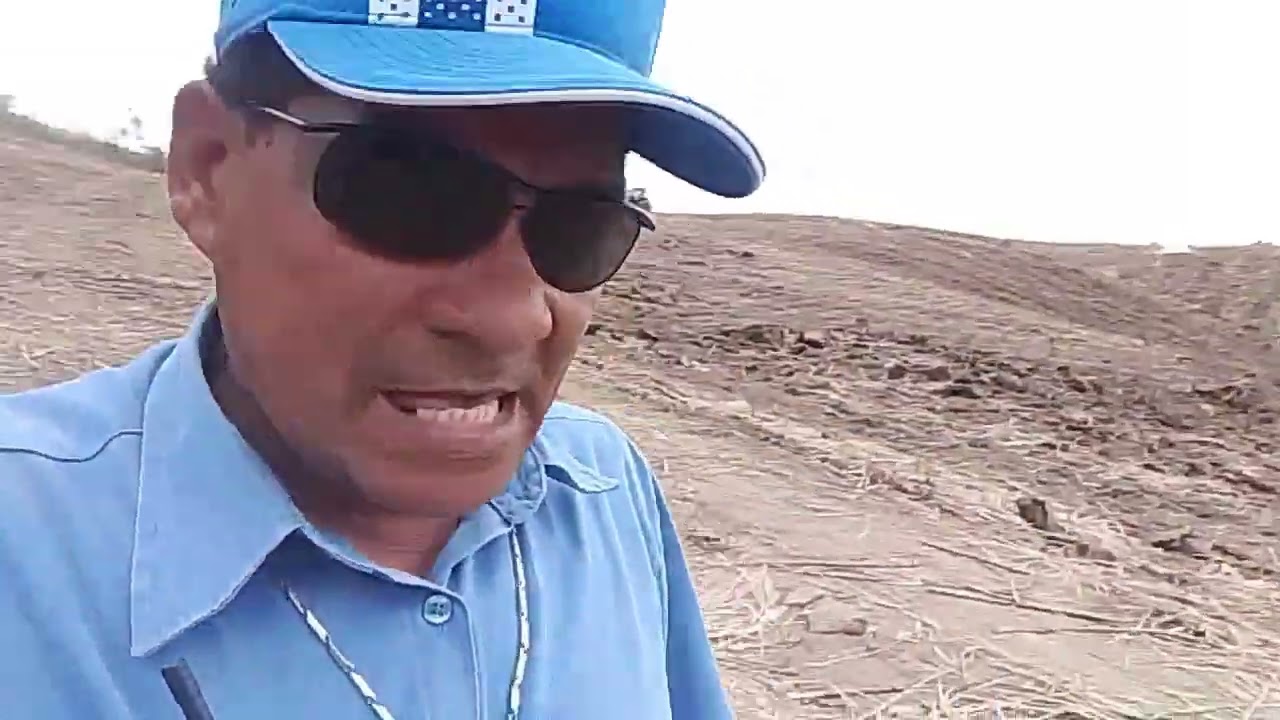 CANAL CICERO PRANCHETA DIRETO DÁ FAZENDA FLOR DÓ BOSQUES JOAQUIM GOME AL19 01 26 👏
