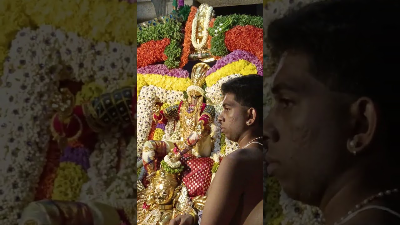 Brahmotsavam Day 3 -Garudavahanam - Arayar Sevai- Venugopala Swamy Temple, Malleshwaram - 20/02/2026
