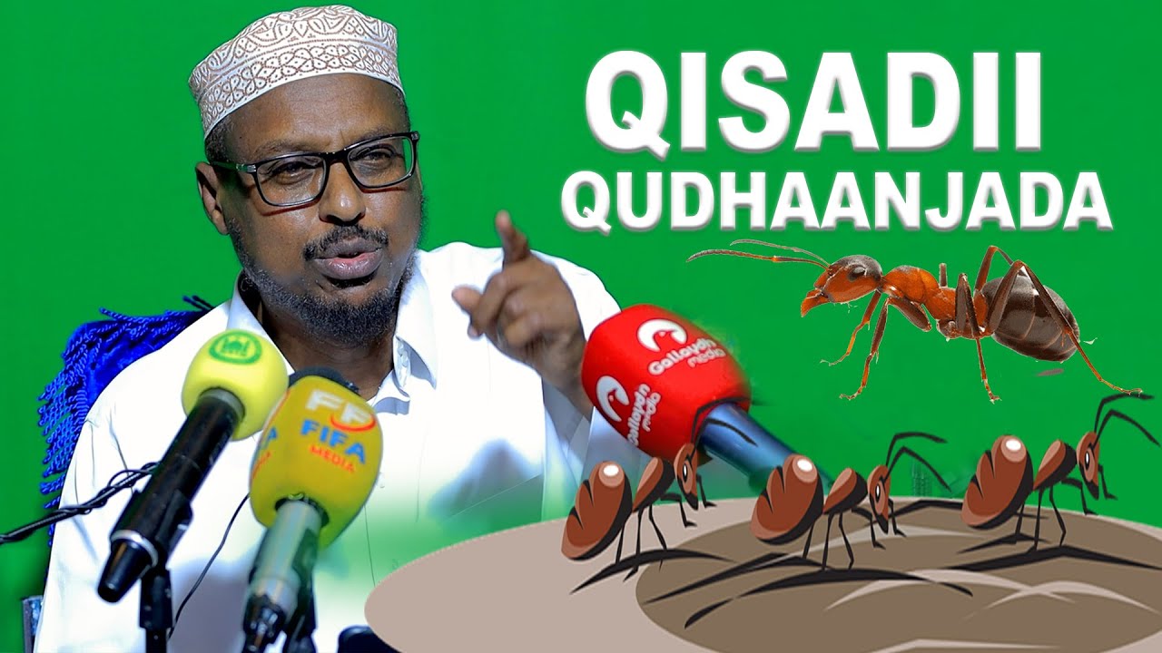 Qisadii Qudhaanjada : Sheekh Mustafe oo jeediyay muxaadiro cusub.