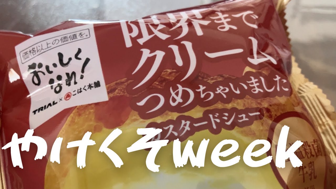 ストレス食いがとまらない万年ダイエッターの平日5日間の食事記録【トライアル購入品/ぎょうざの満洲/ハーゲンダッツ】