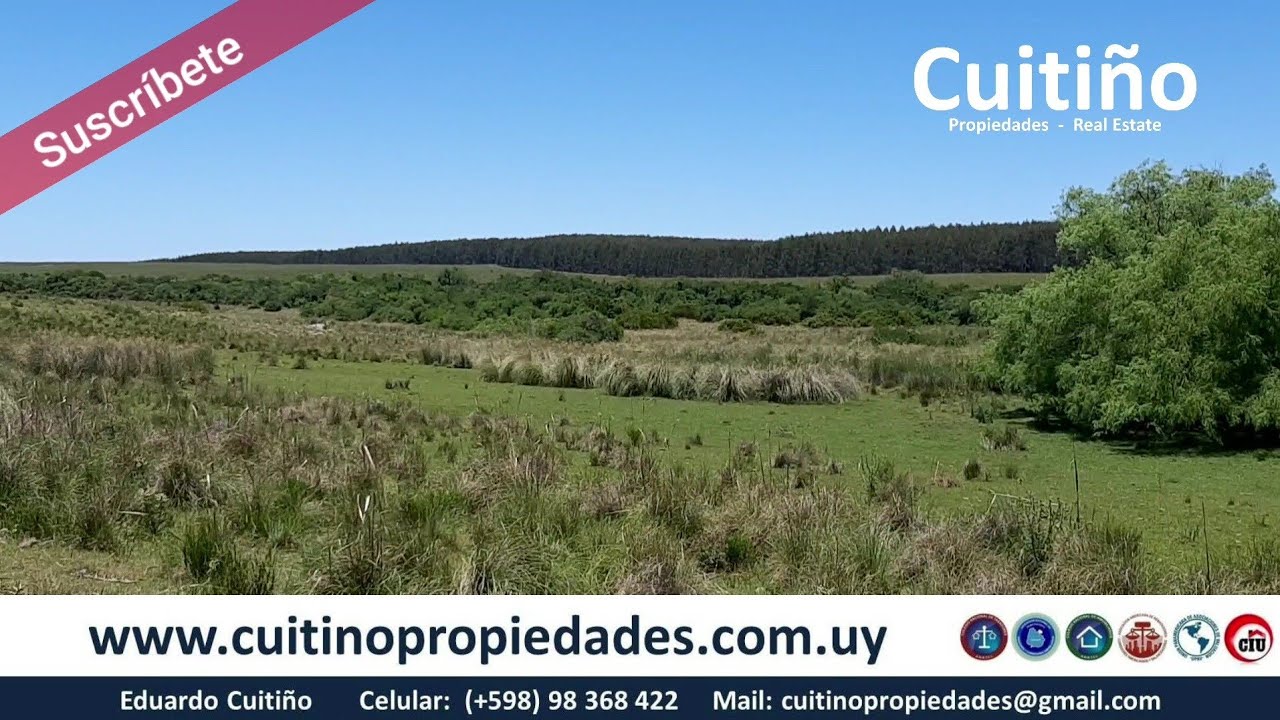 Campo en venta 114 hectáreas con costa de arroyo en Treinta y Tres Uruguay. (No disponible)