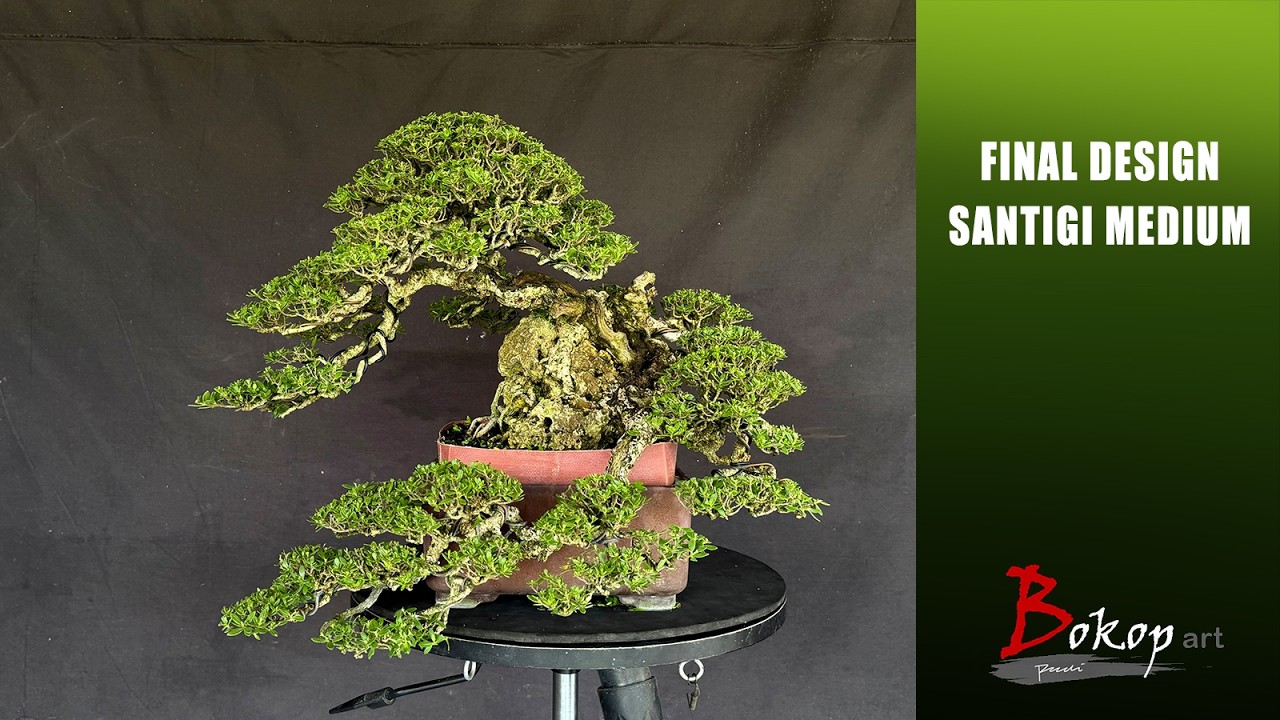 FINAL DESIGN SANTIGI MEDIUM