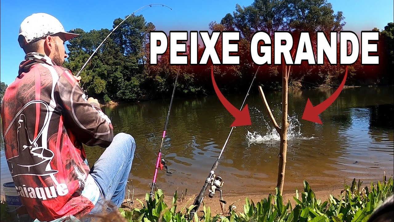 PESCARIA DE CURIMBA NO RIO PIRACICABA!!! MUITO PEIXE!!!