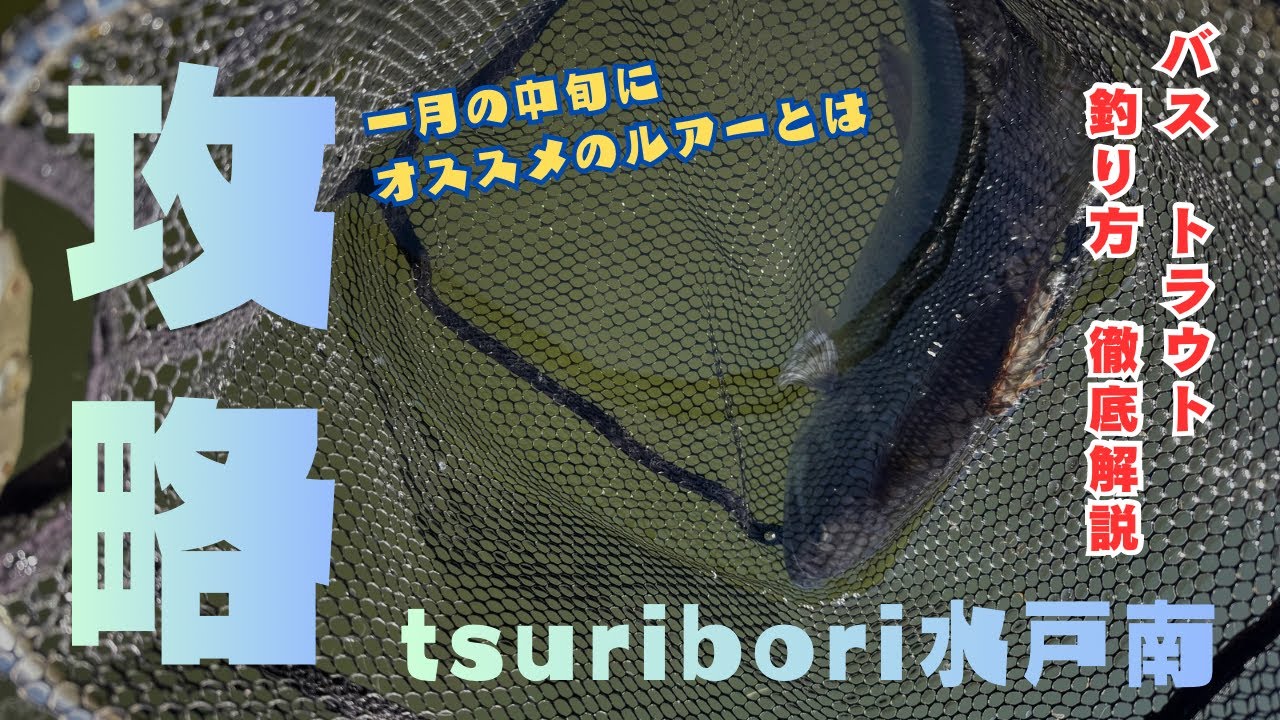 放流・見えバス・夕まずめ【tsuribori水戸南 攻略まとめ】