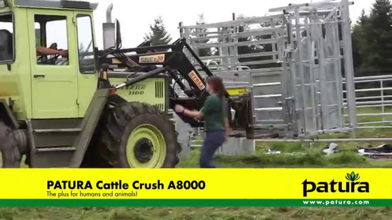 PATURA Cattle Crush A8000