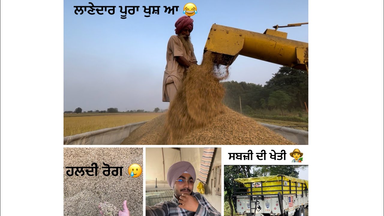 Vegetables di kheti 🥒• Lanedar ajj poora khush aa 😂😂@Mehkdhaliwal #farming #vegetables #trending 