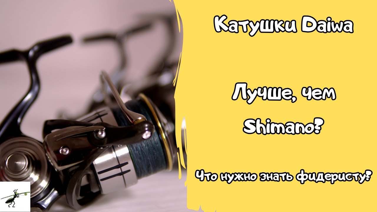 Катушки  для рыбалки Daiwa. Лучше, чем Shimano? О чем нужно помнить фидеристу?