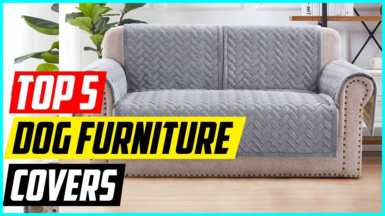 5 Best Dog Furniture Covers and Protectors