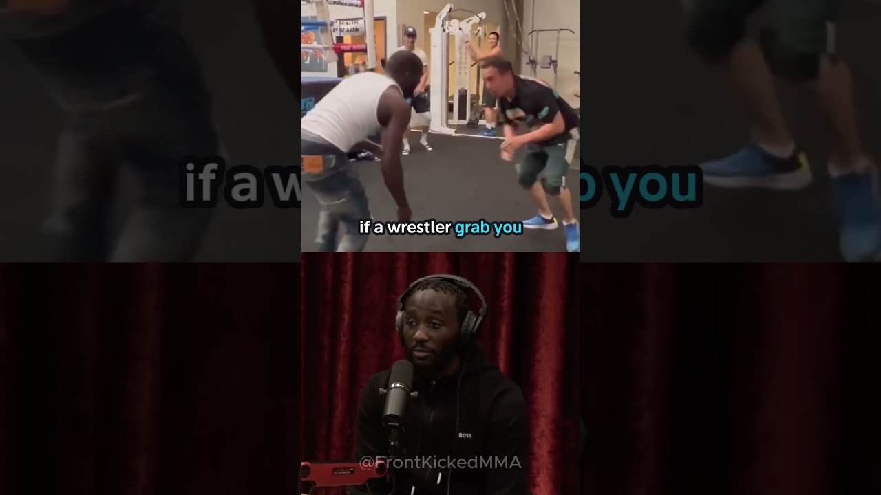 Joe Rogan & Terrance Crawford Settle MMA vs Boxing Debate
