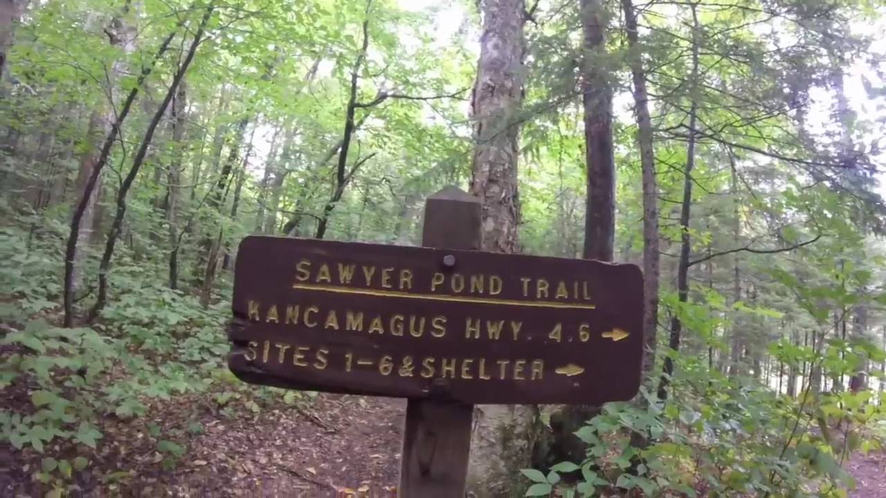 Sawyer Pond NH