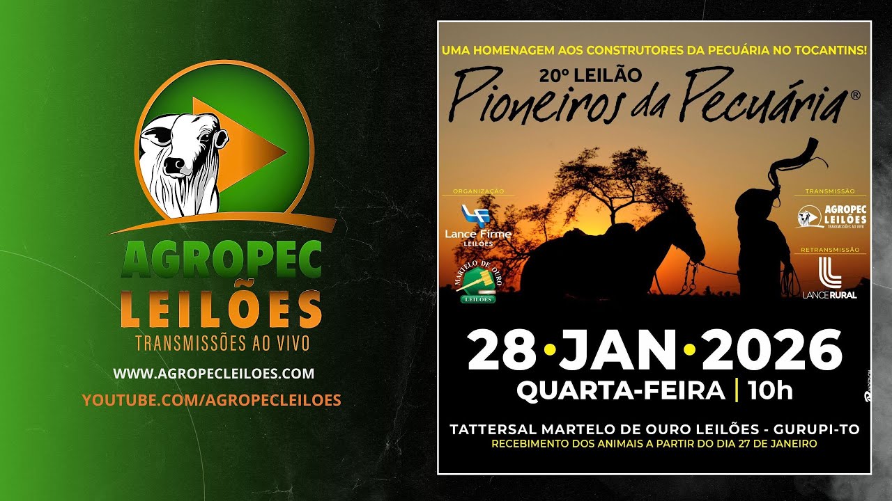agropecleiloes.com 20°LEILÃO PIONEIROS DA PECUÁRIA | MARTELO DE OURO LEILÕES - GURUPI-TO 28/01/2026.