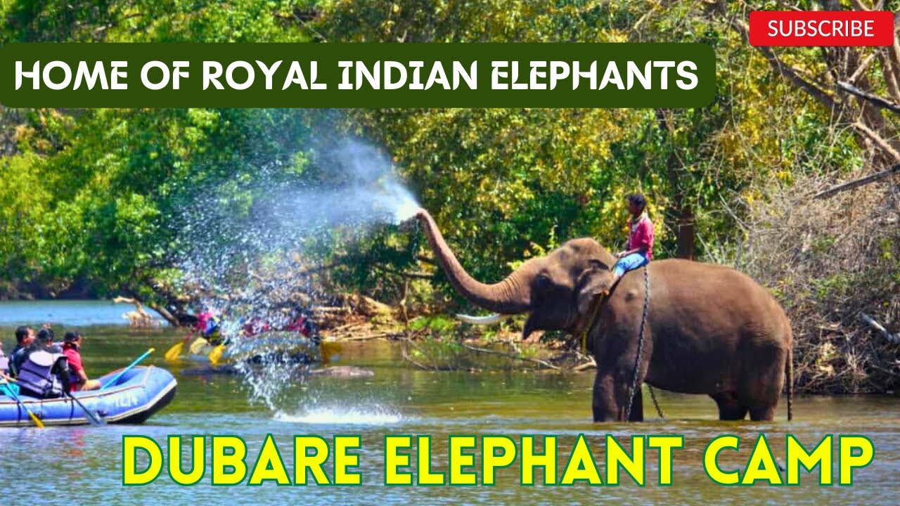 Dubare Elephant Camp : A Day Out With Elephants | Dubare Elephant Camp Coorg | Coorg Tourist Places