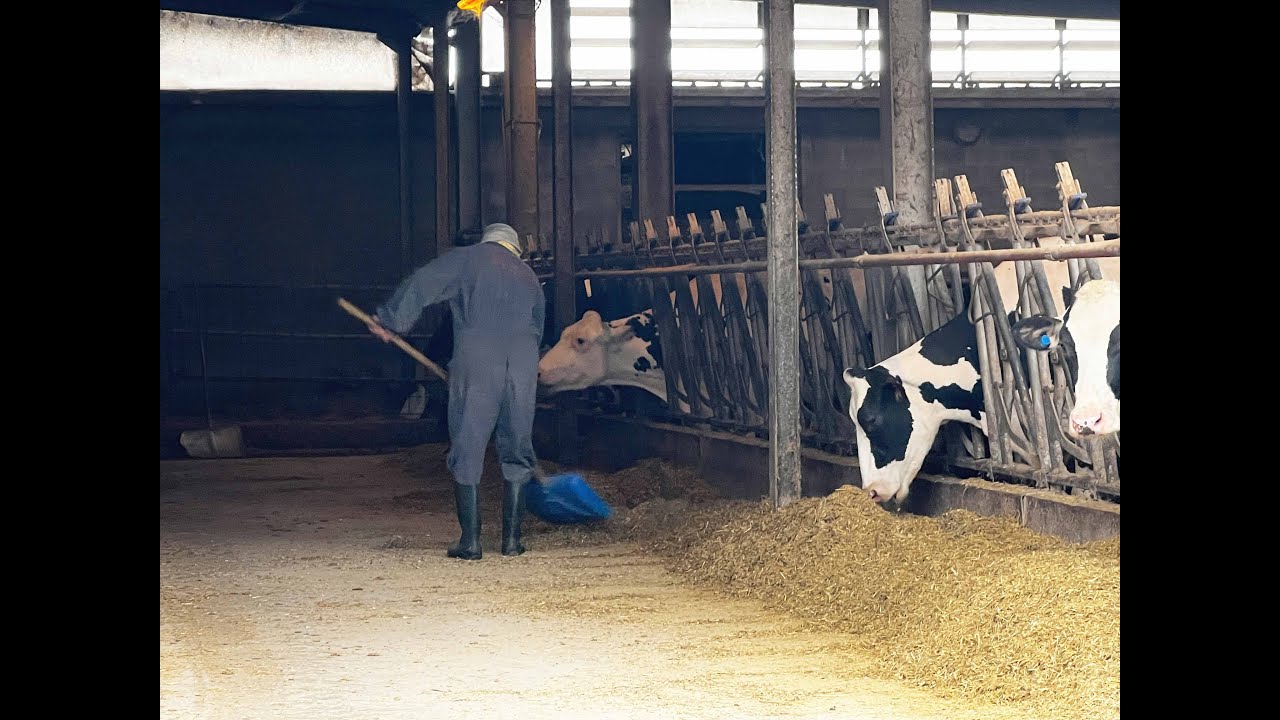 Comunità straniere in agricoltura: una storia di integrazione in Piemonte