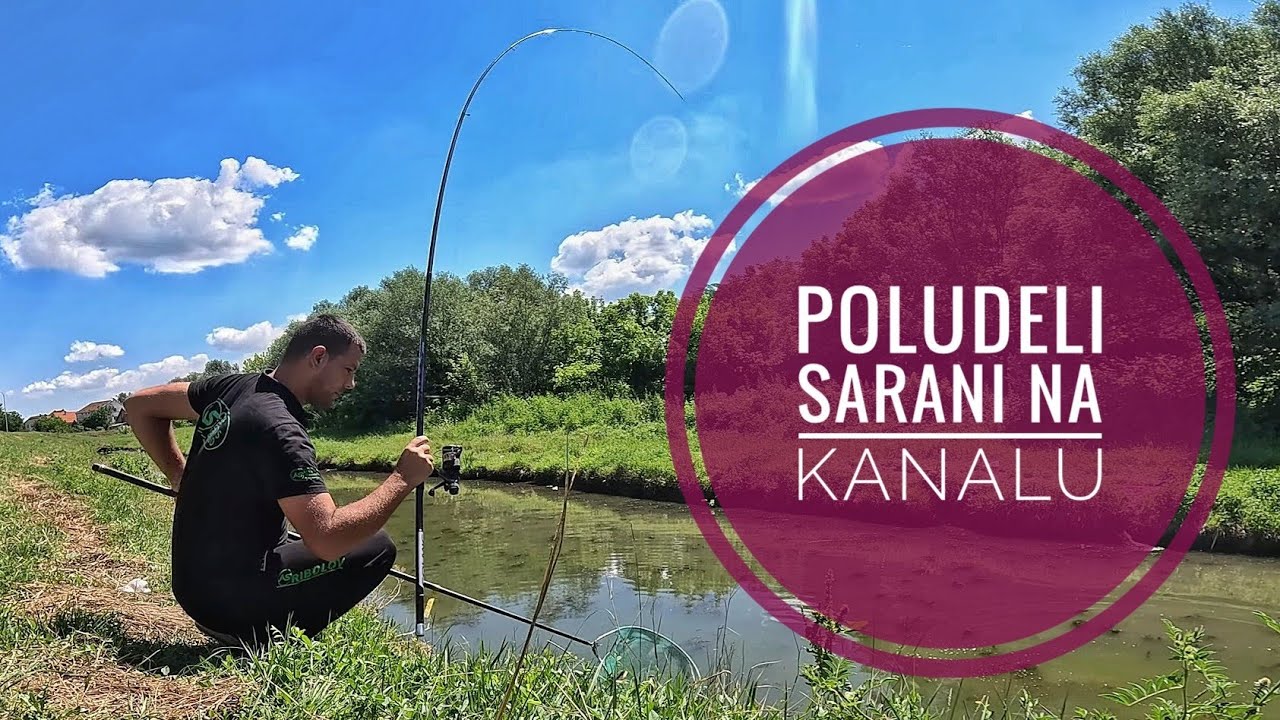 SARANI POLUDELI - UDARILO IH SUNCE U GLAVU