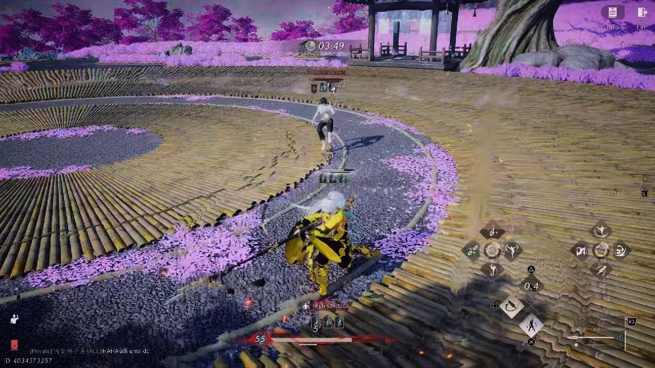 Arena 1v1
