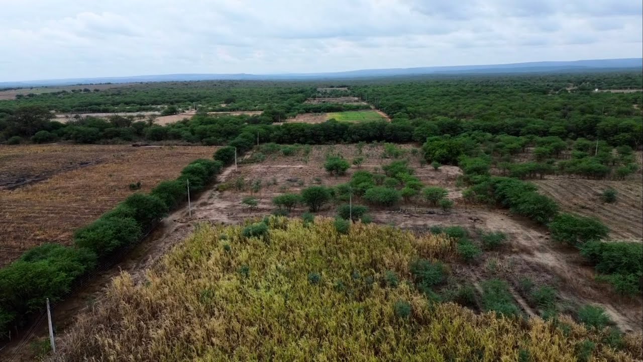 Terreno de 46 hectares à venda em inaja-Pernambuco