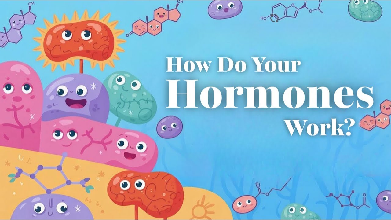 I Tried Balancing My Hormones for 30 Days Here's What Happened