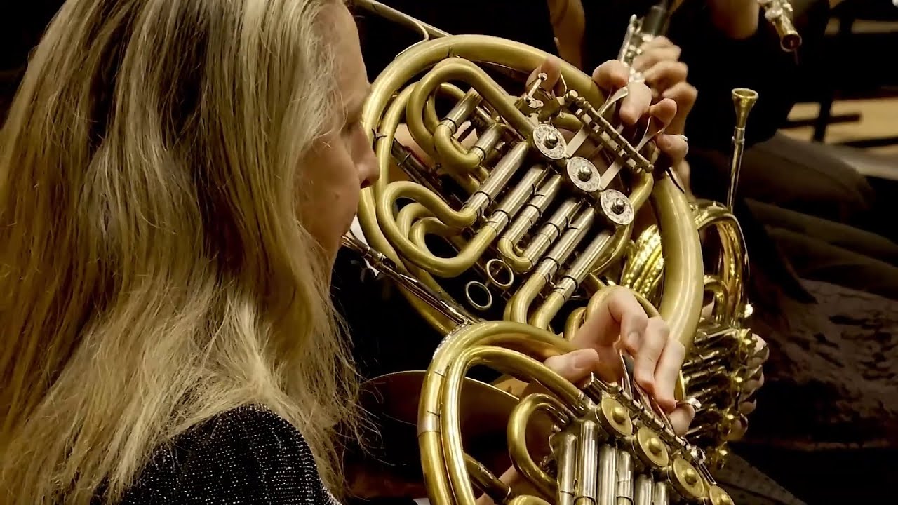 Beethoven 7th symphony - Horns soli 1st mov