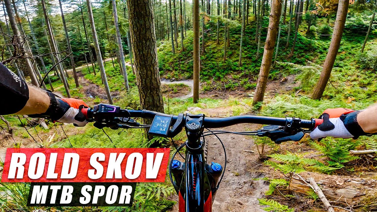 Rold Skov MTB spor - Sjove blå og røde spor + DH Banen 🔥