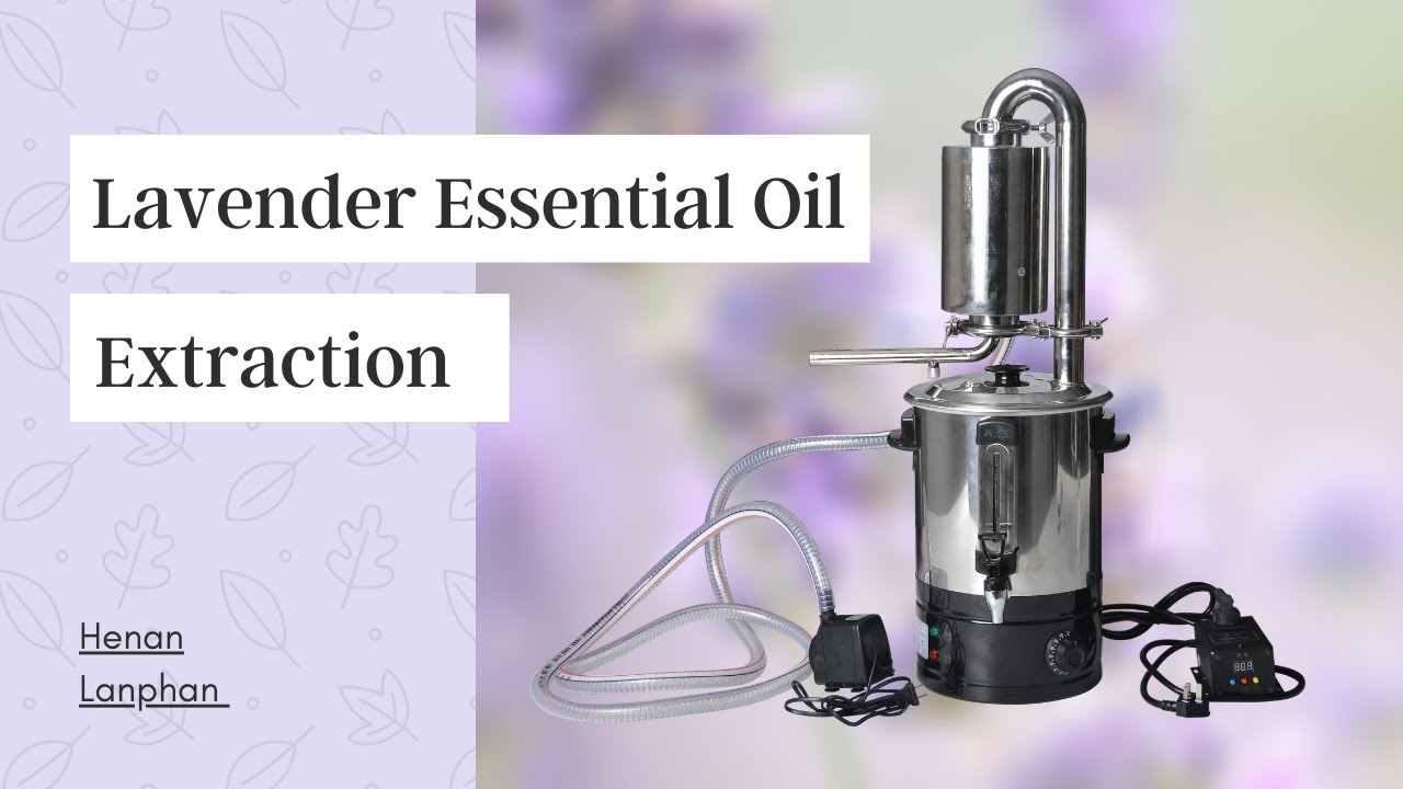 Household lavender essential oil distiller