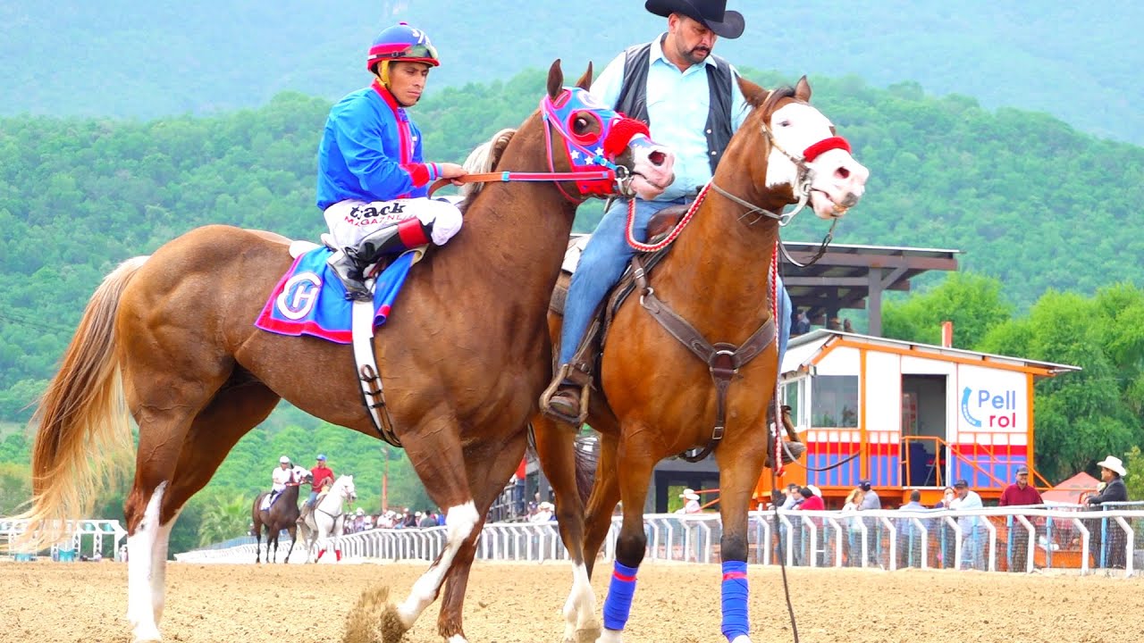 Avispon vs Petrolero 440 yardas Rancho el Texano