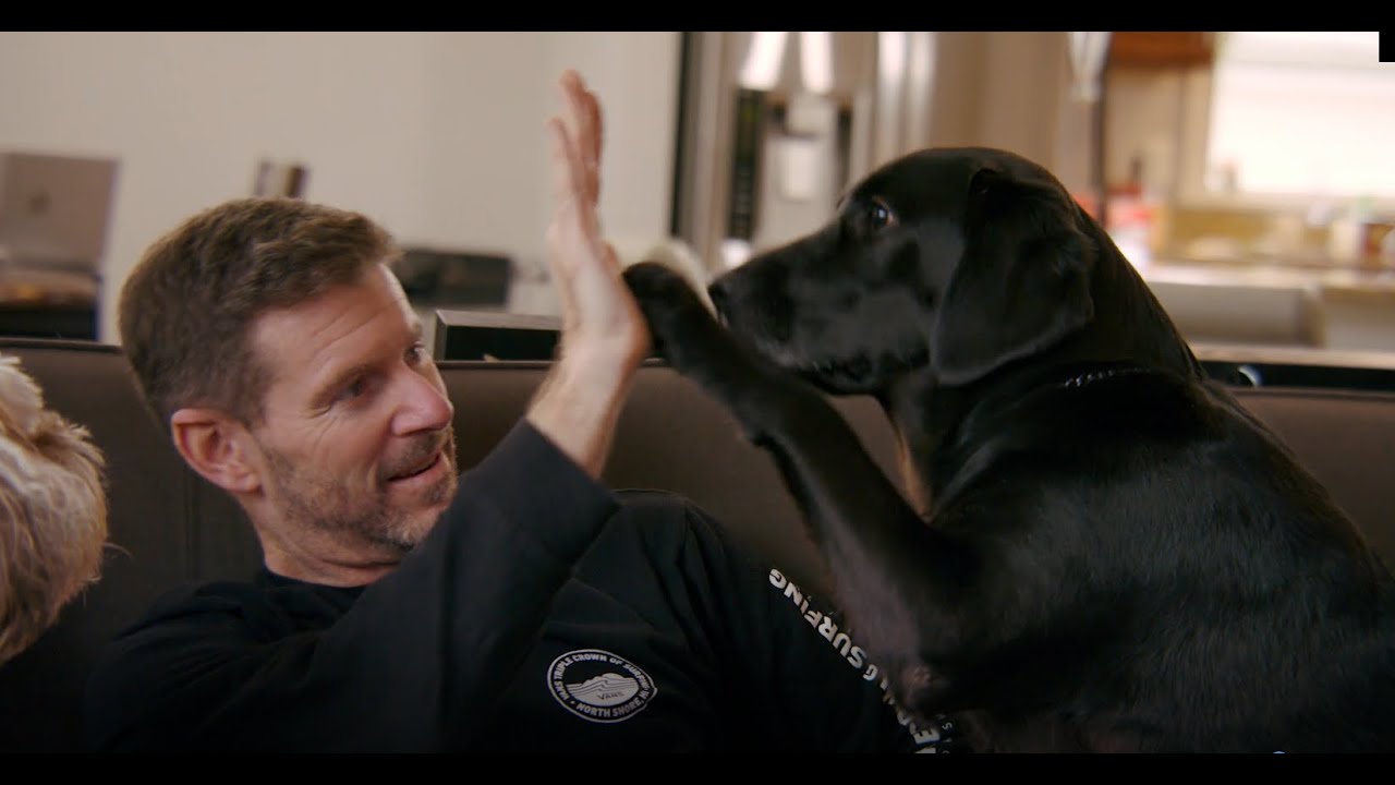 4 Paws for Ability - Tim's Story