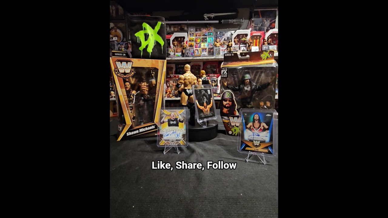 Wrestling Figure Display 