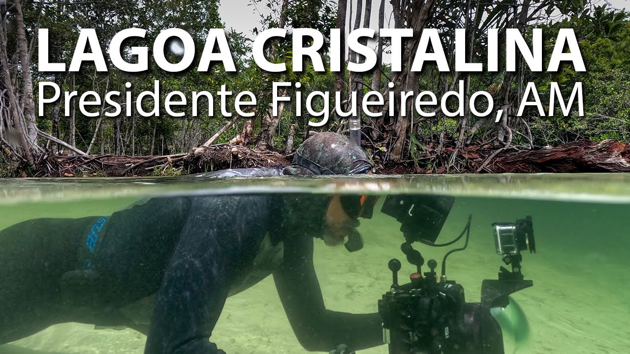 Peixes que encontramos na LAGOA CRISTALINA, no coração AMAZÔNIA.