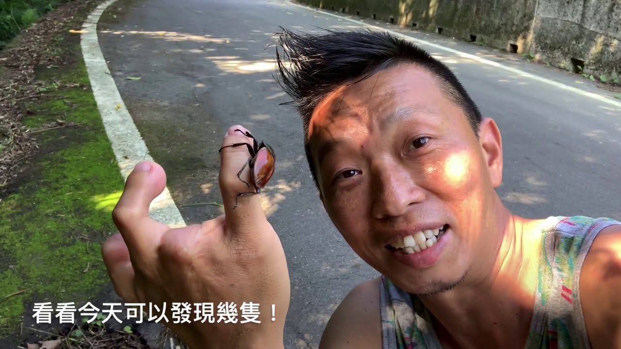 熱血阿傑超狂生態課！介紹紅圓翅鍬形蟲