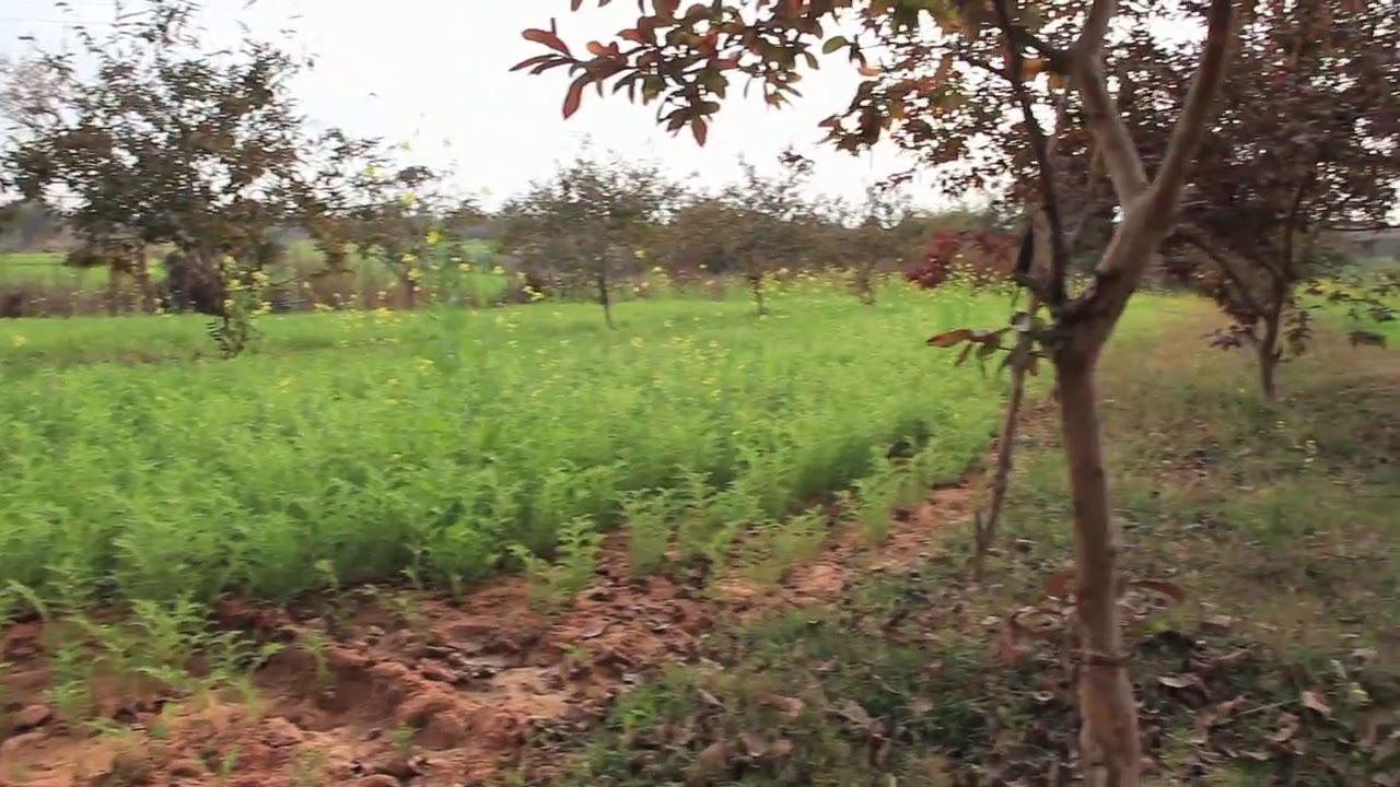 Climate Resilient Agriculture in India | जलवायु परिवर्तन का कृषि पर क्या प्रभाव पड़ता है?