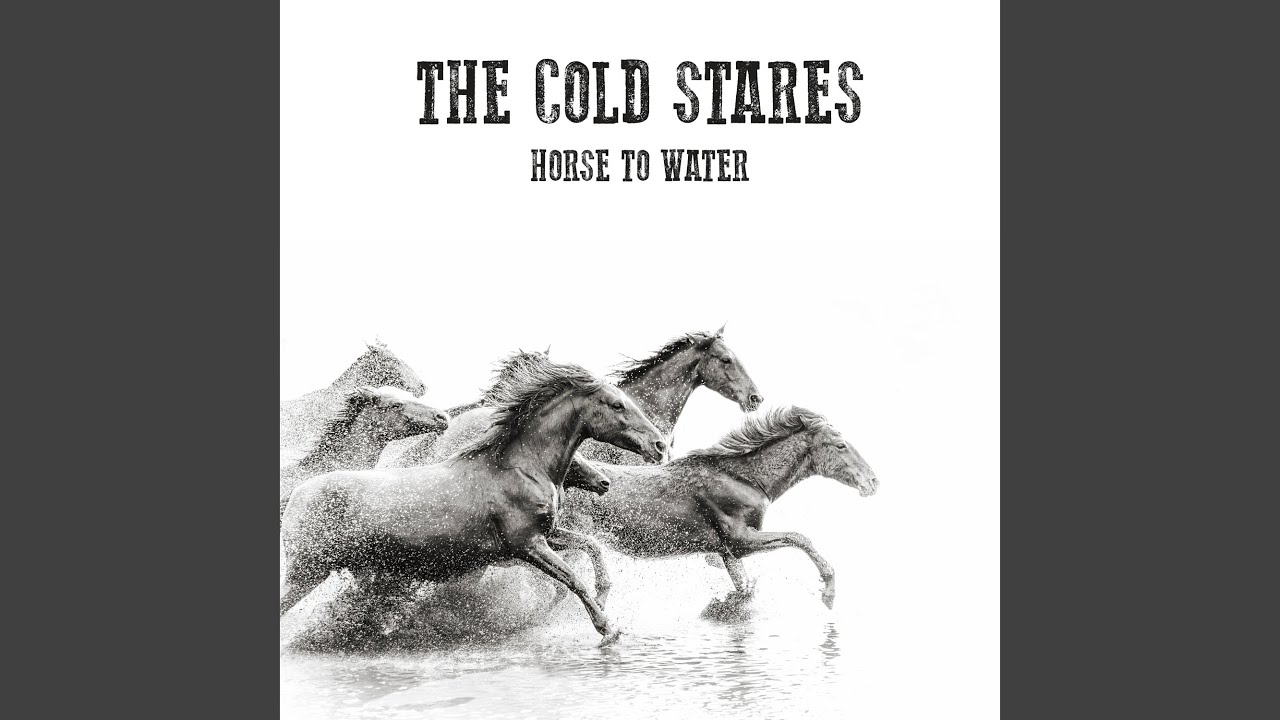 Horse To Water