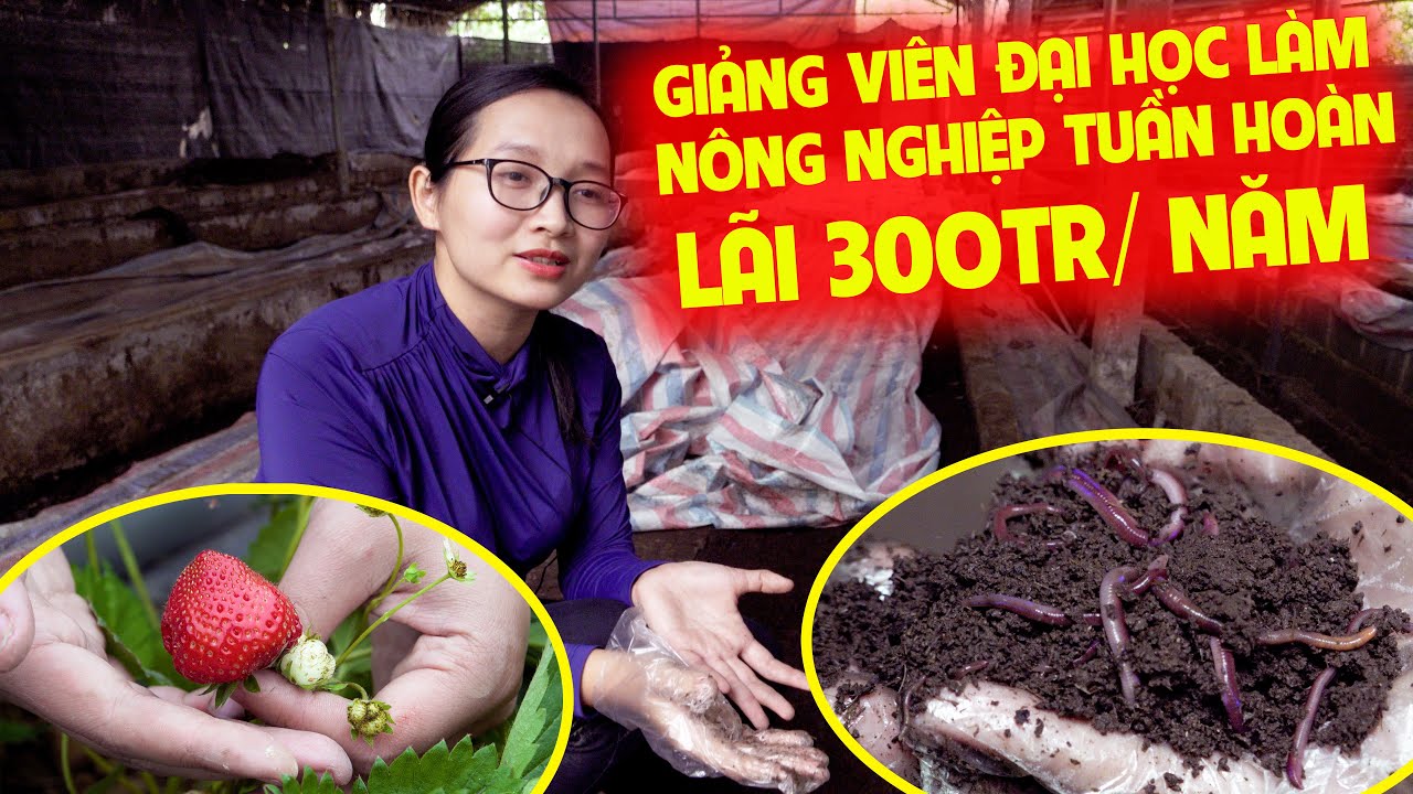 Từ Giảng Đường Đến Trang Trại Giun - Cô Giáo Trẻ Làm Giàu Trên Đất Thái Nguyên