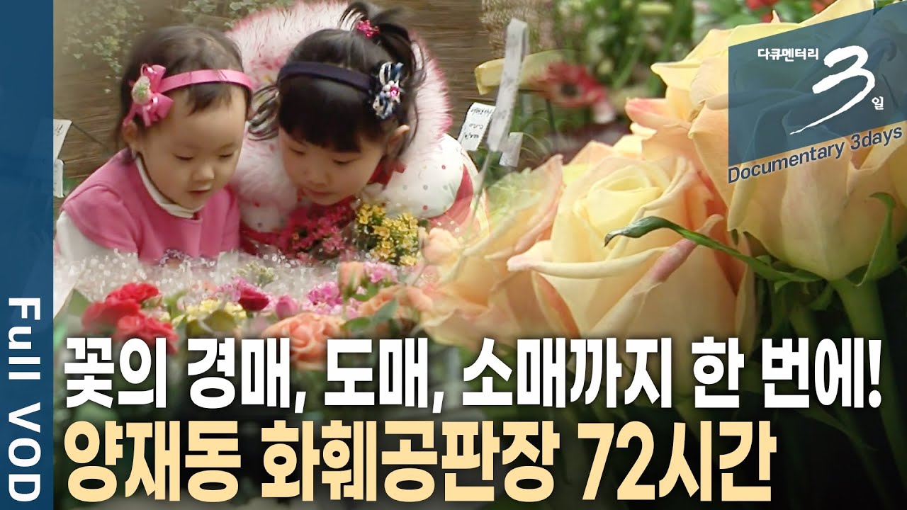 밤잠도 잊은 채 바쁜 곳! 행복 바이러스가 가득한 곳! 꽃에 웃고 꽃에 울었던 양재동 화훼공판장 72시간 | 다큐 3일 | KBS 20220116 방송