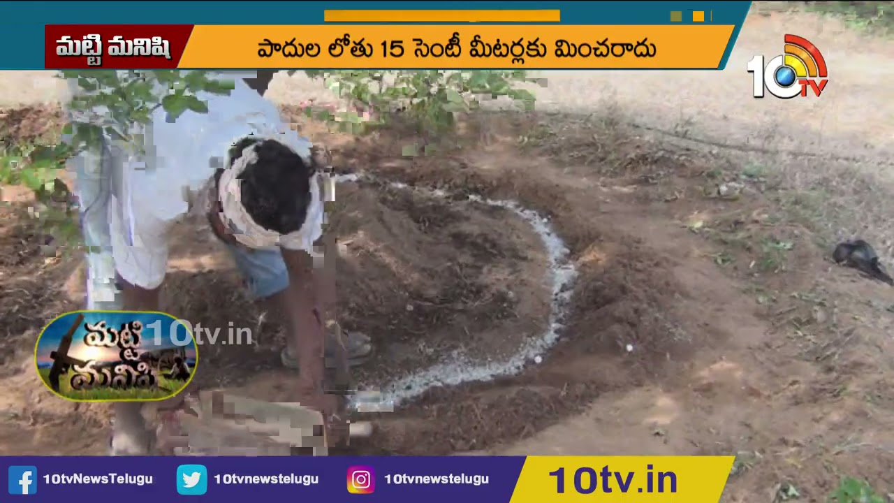 బత్తాయిలో ఎరువుల యాజమాన్యం | Techniques For Mosambi Cultivation | Matti Manishi | 10TV News