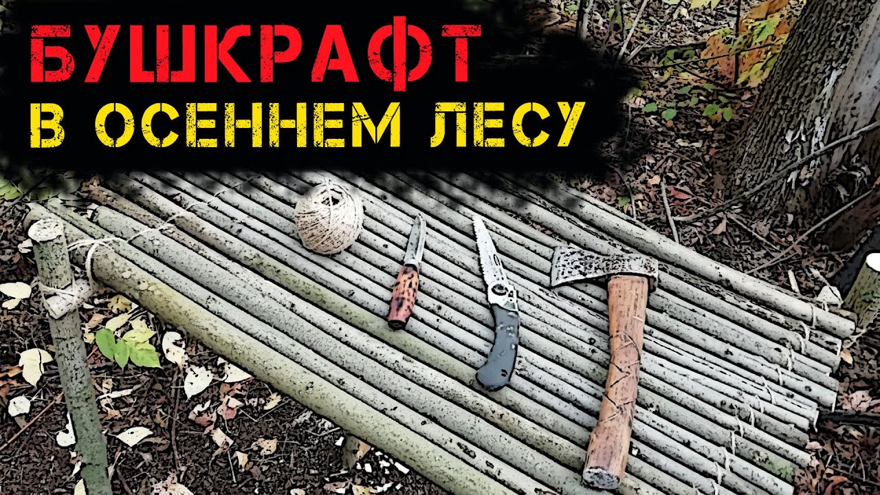 Бушкрафт в осеннем лесу/ Стол, mod Esbit, каша с грибами, чайный пакетик (лайфхак)